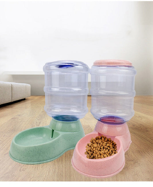 Beyond the Bowl: Why Design and Cleanliness Matter in Pet Feeding
