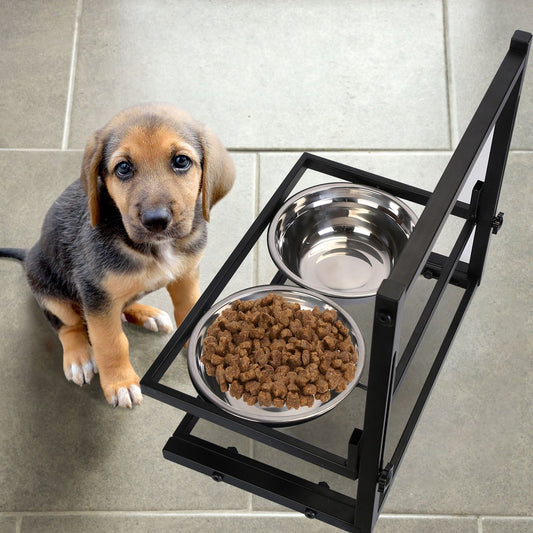 Feeding Time, Happy Time: Creating a Healthy Mealtime Routine for Your Pet